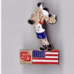 Enamel Pin — Striker × Fuji Film Dual Brand